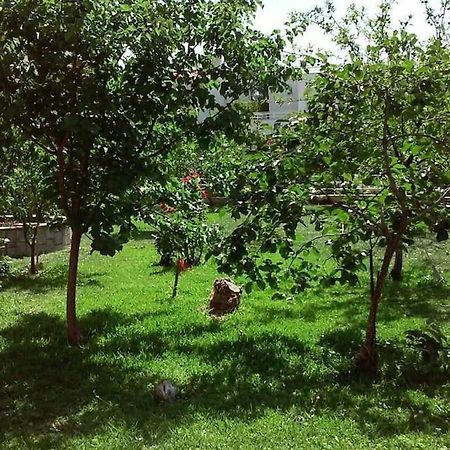 Sunny Garden Studio Athens Exterior photo